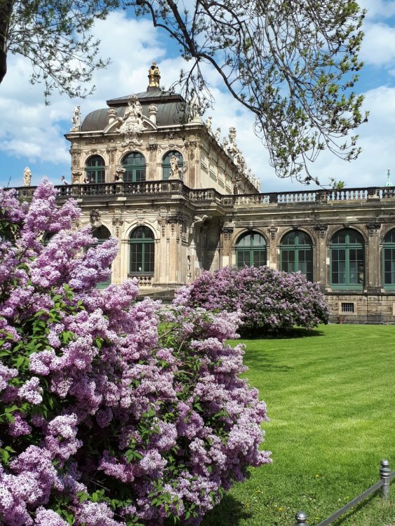 Дрезден. Цвингер.jpg