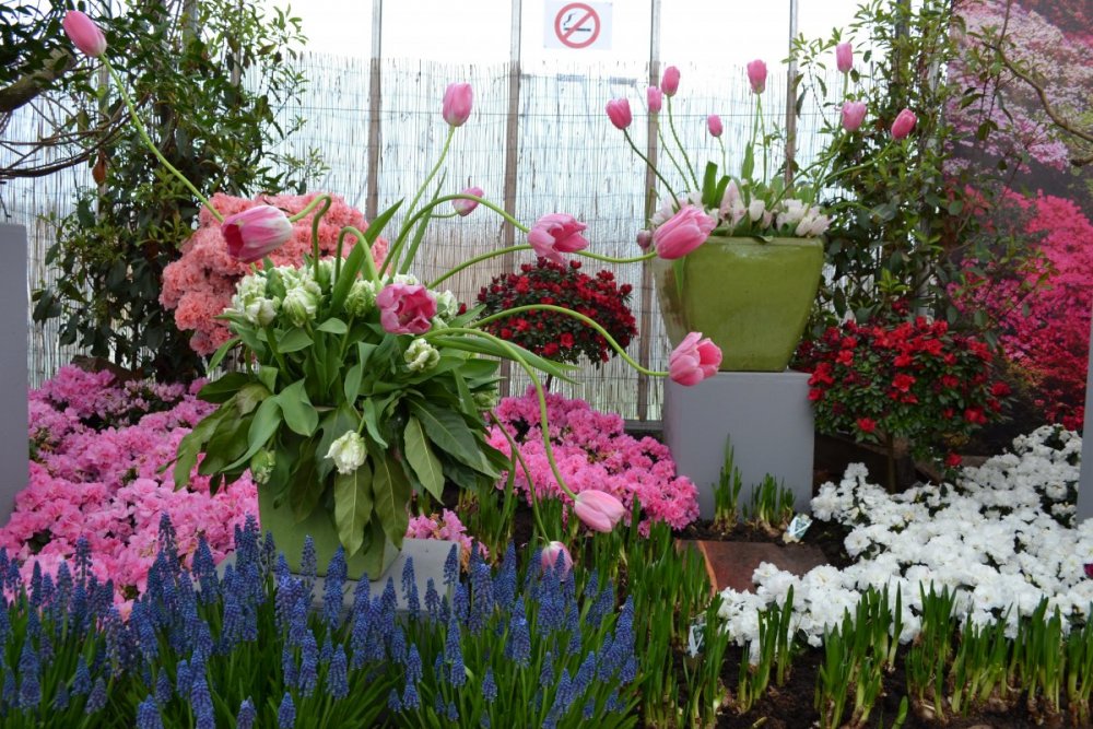 отпуск 2018 2503.JPG