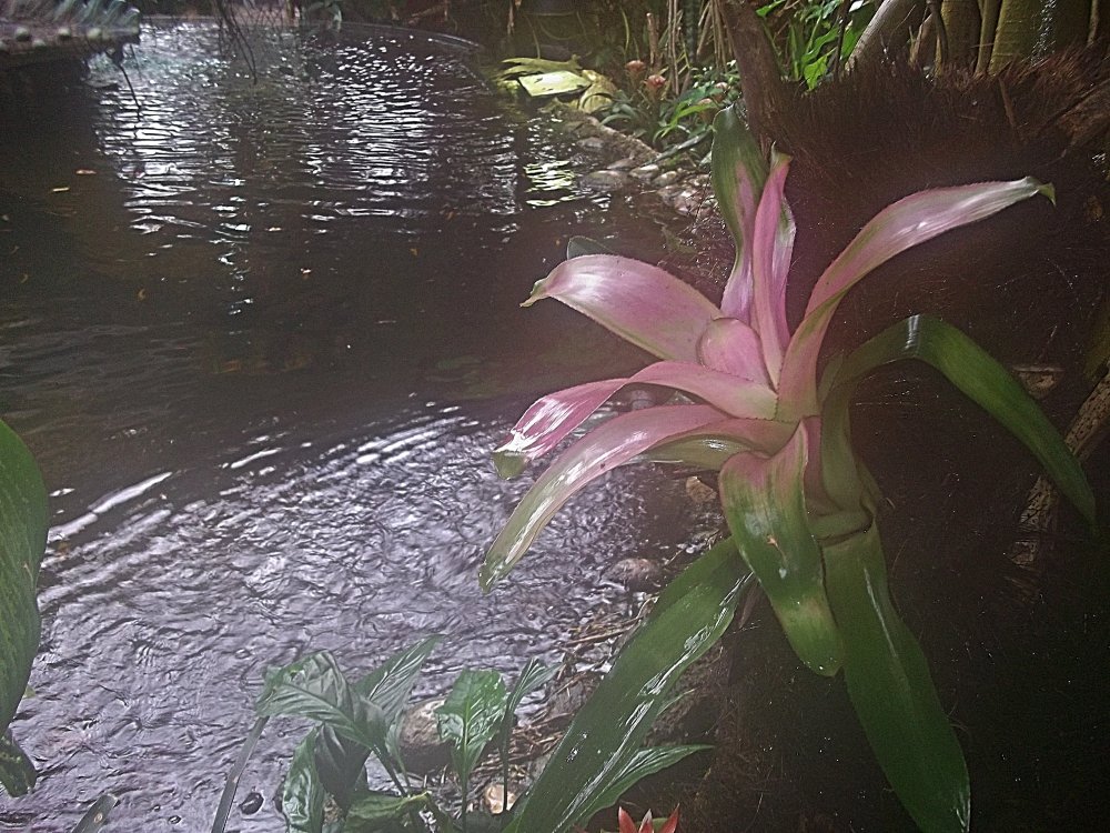 Сады и парки Скандинавии 506_Fotor.jpg