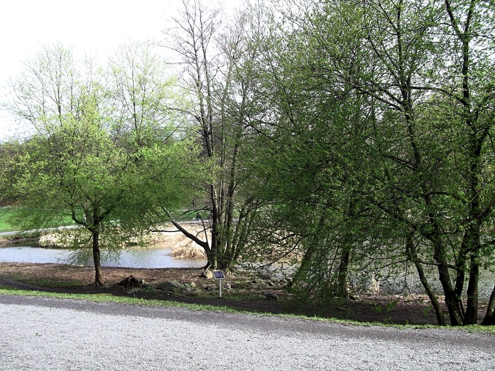 Сады и парки Скандинавии 454_Fotor.jpg