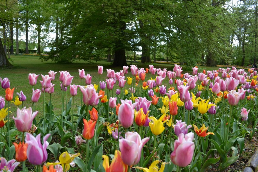 отпуск 2018 2638.JPG