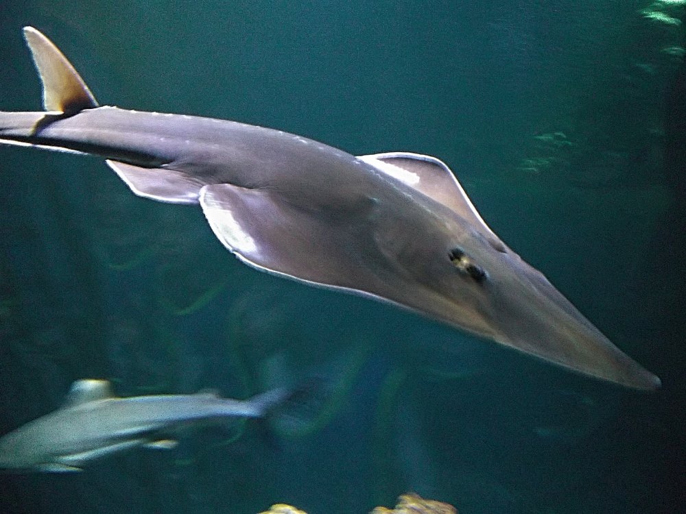 Сады и парки Скандинавии 616_Fotor.jpg