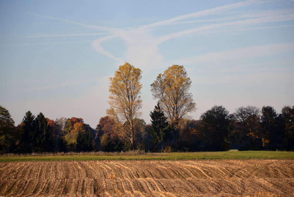 DSC_3522 — копия.JPG