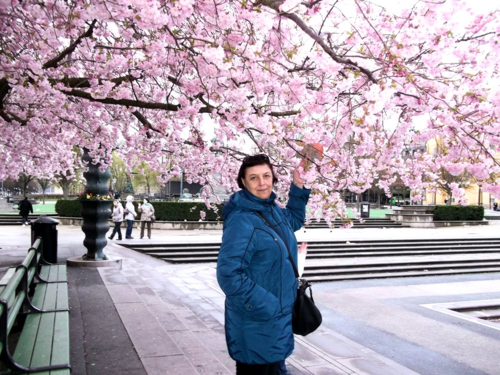 Сады и парки Скандинавии 361_Fotor.jpg