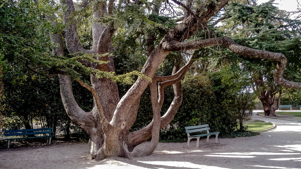 DSC_2594.jpg