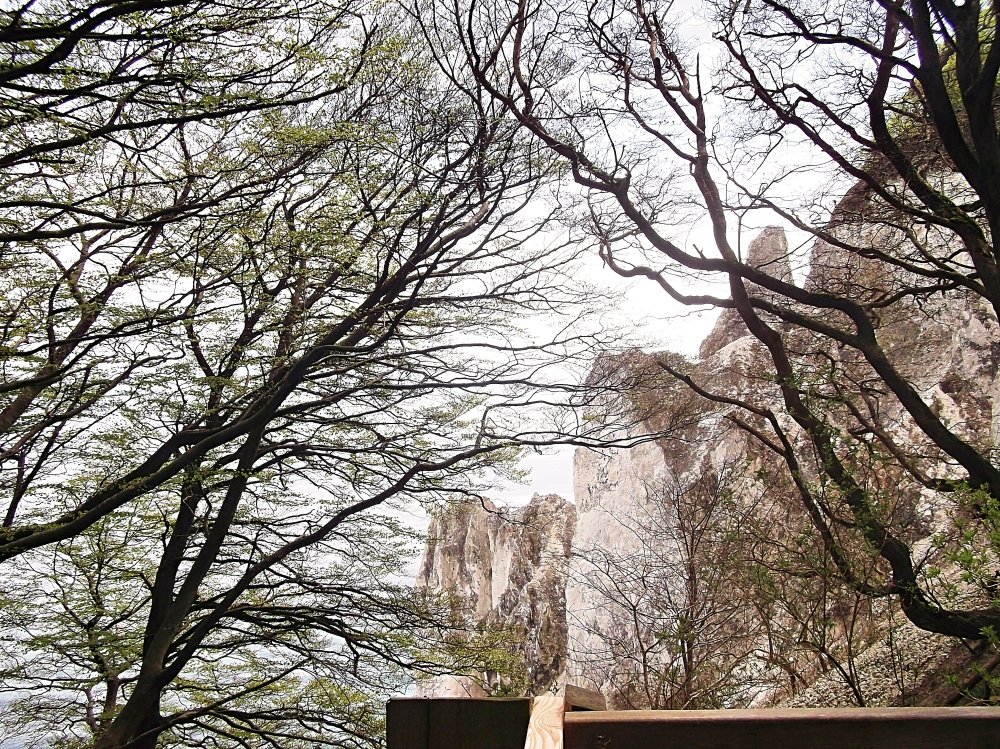 Сады и парки Скандинавии 1310_Fotor.jpg