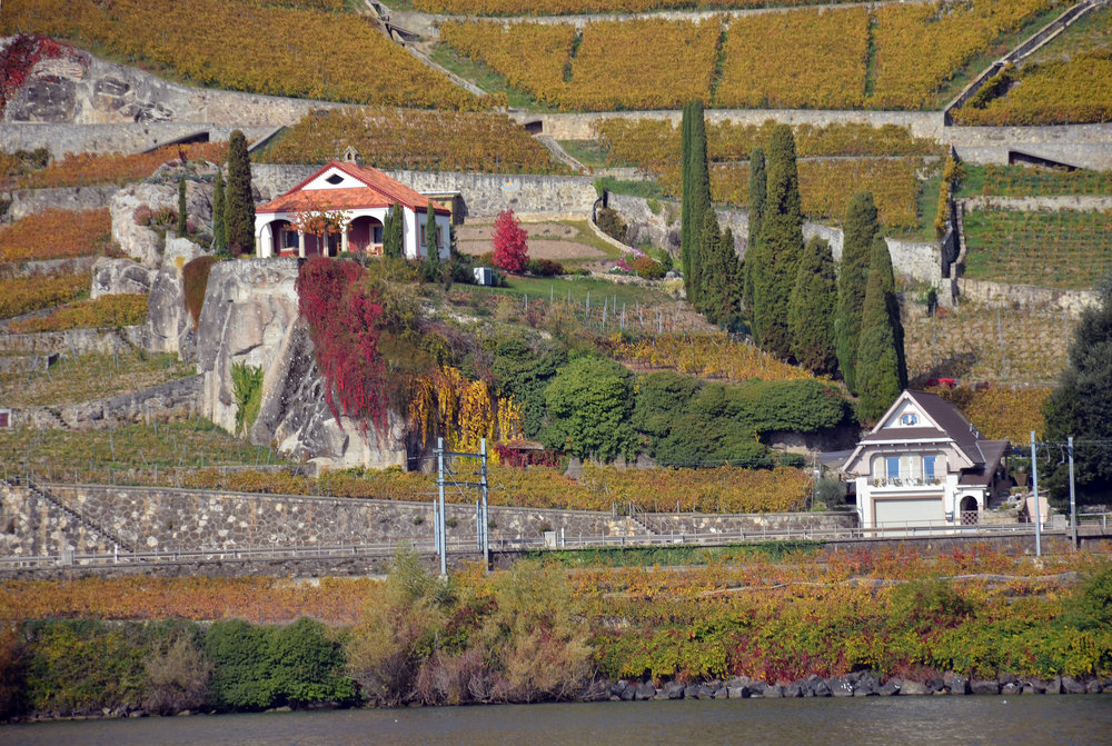 DSC_6347 — копия.JPG