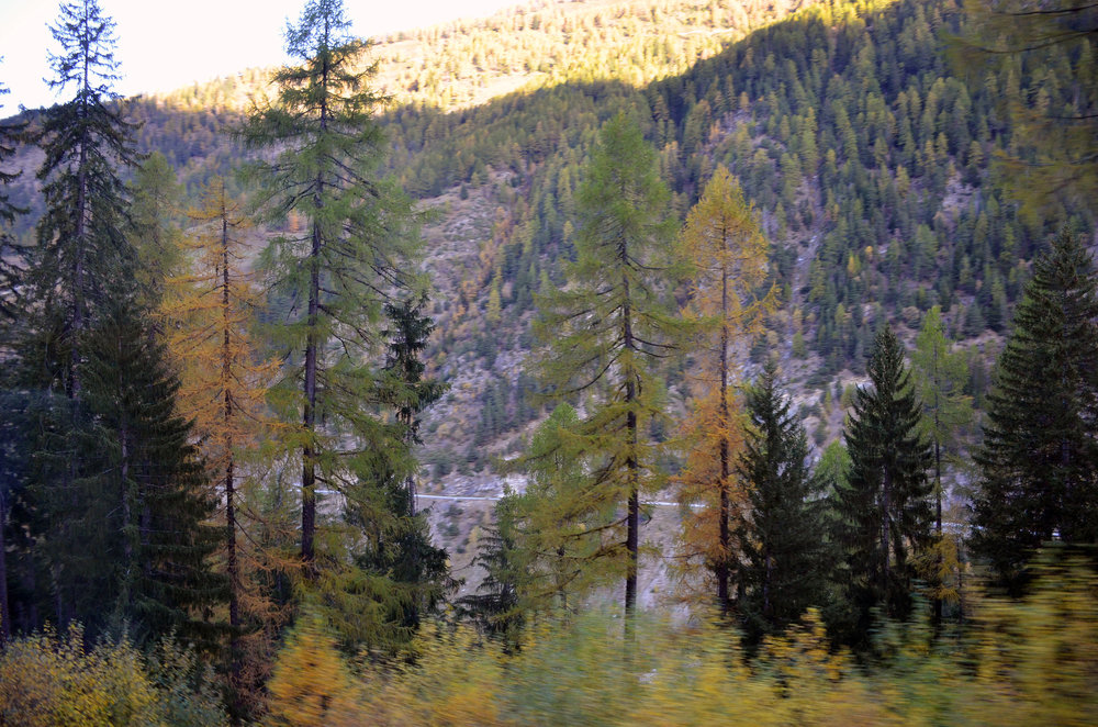 DSC_5548 — копия.JPG