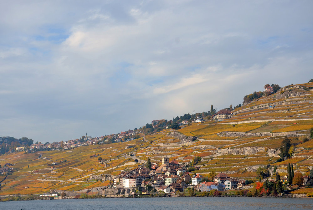 DSC_6346 — копия.JPG