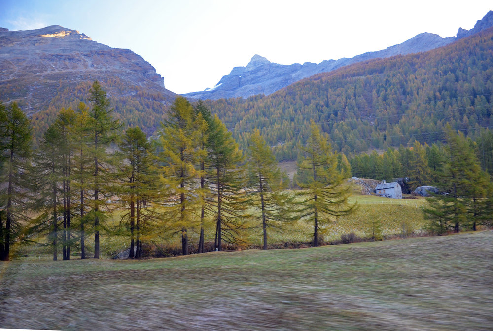 DSC_5419 — копия.JPG