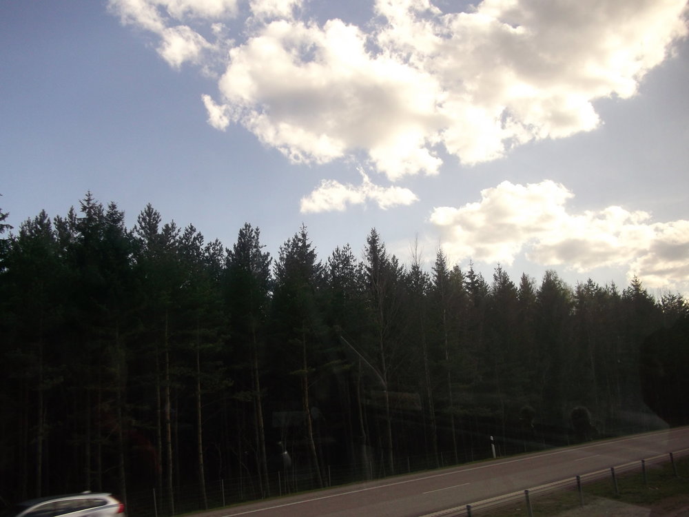 Сады и парки Скандинавии 777.JPG