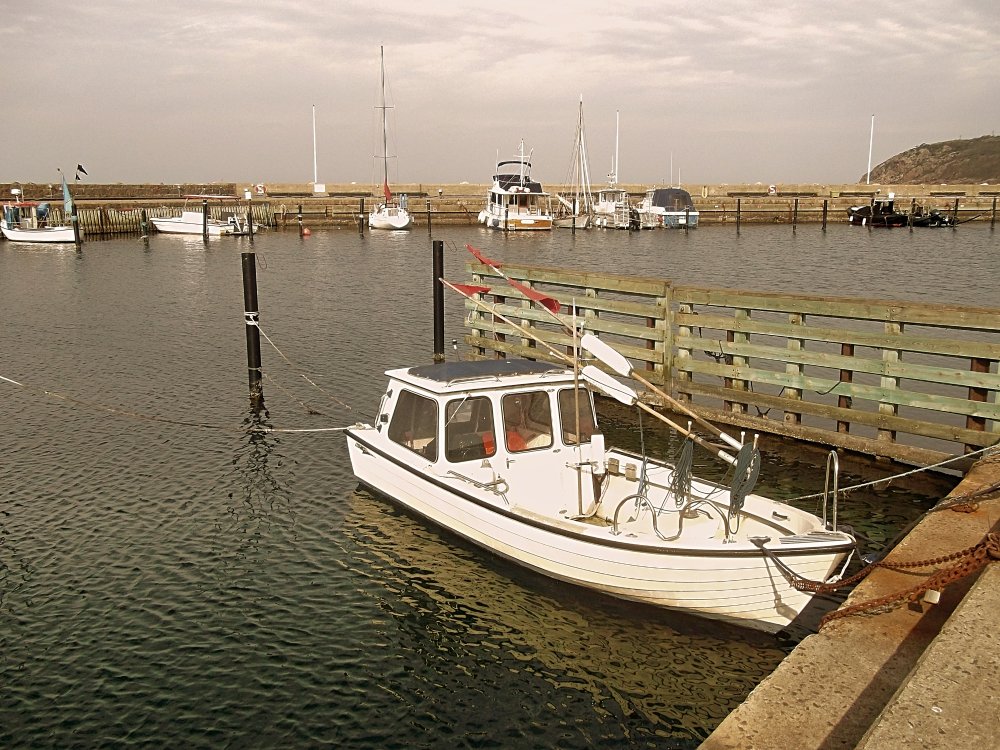 Сады и парки Скандинавии 799_Fotor.jpg