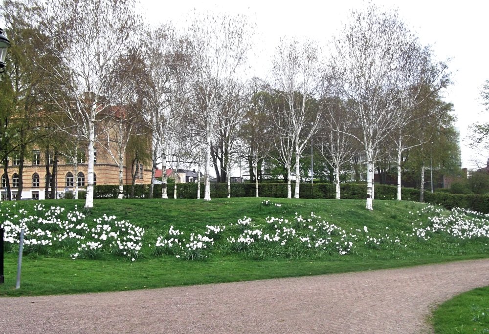 Сады и парки Скандинавии 908_Fotor.jpg