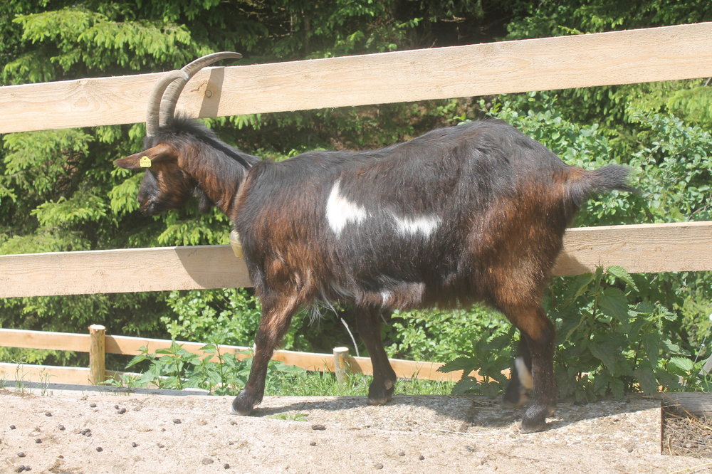 2018-06-05 12-47-46.JPG