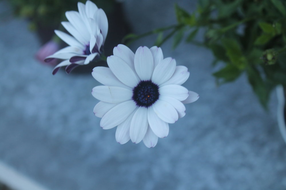 2018-06-05 10-03-08.JPG