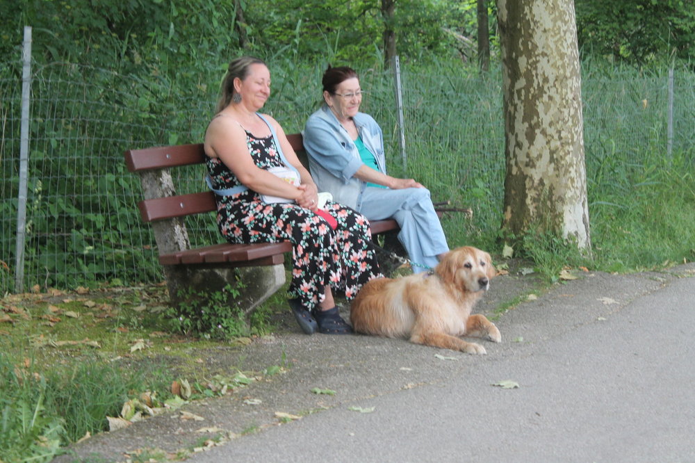 2018-06-01 20-50-22.JPG