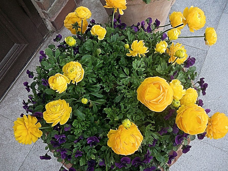 Сады и парки Скандинавии 1065_Fotor.jpg