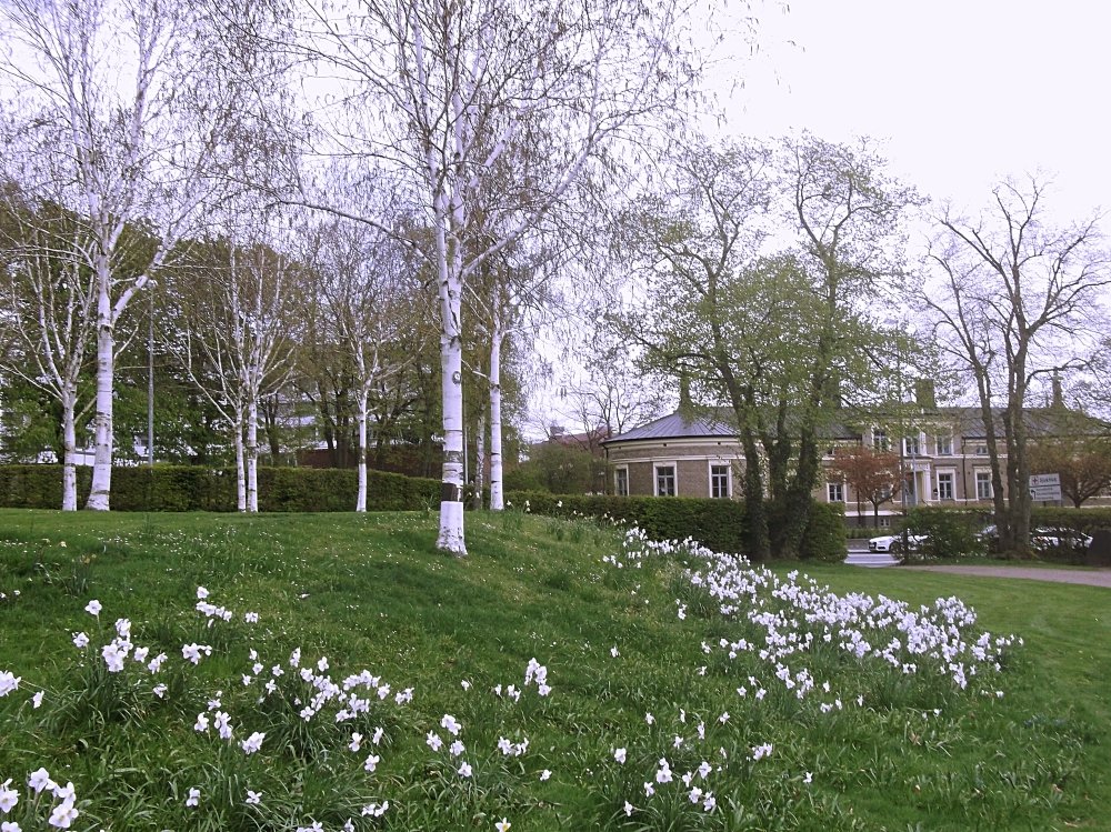 Сады и парки Скандинавии 911_Fotor.jpg