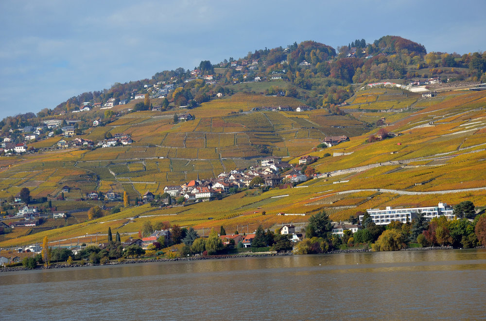 DSC_6433 — копия.JPG