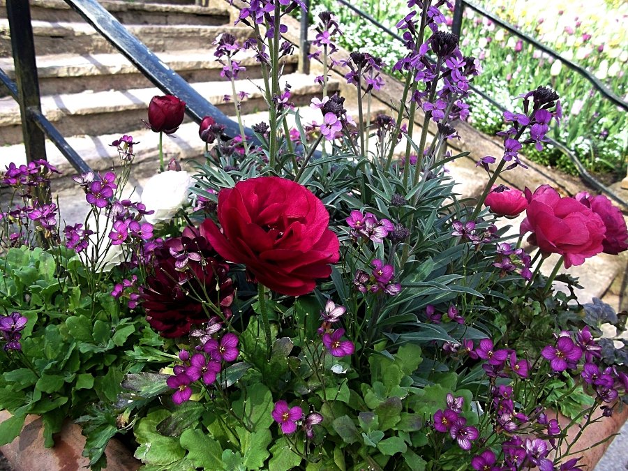 Сады и парки Скандинавии 1081_Fotor.jpg