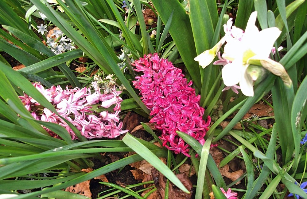 Сады и парки Скандинавии 924_Fotor.jpg