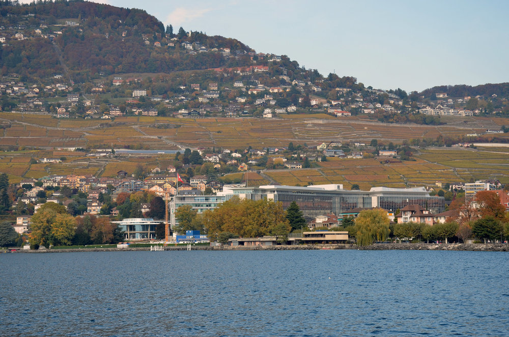 DSC_6302 — копия.JPG