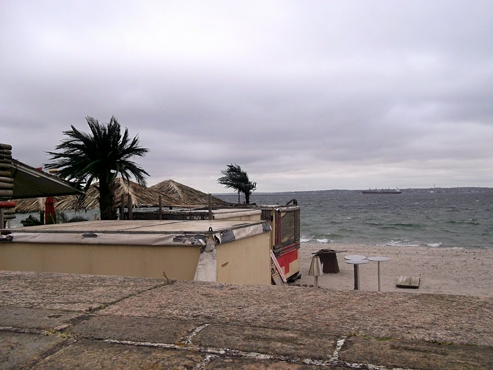 Сады и парки Скандинавии 899_Fotor.jpg