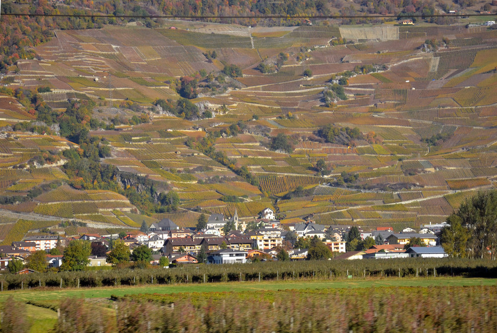 DSC_5877 — копия.JPG