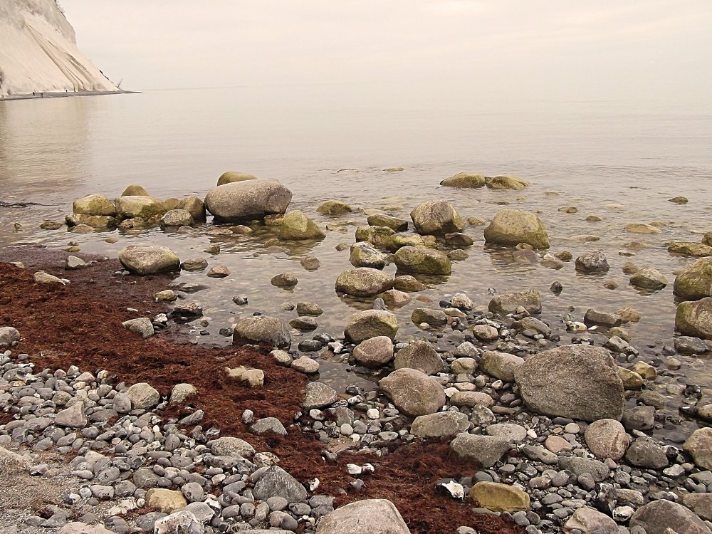 Сады и парки Скандинавии 1277_Fotor.jpg