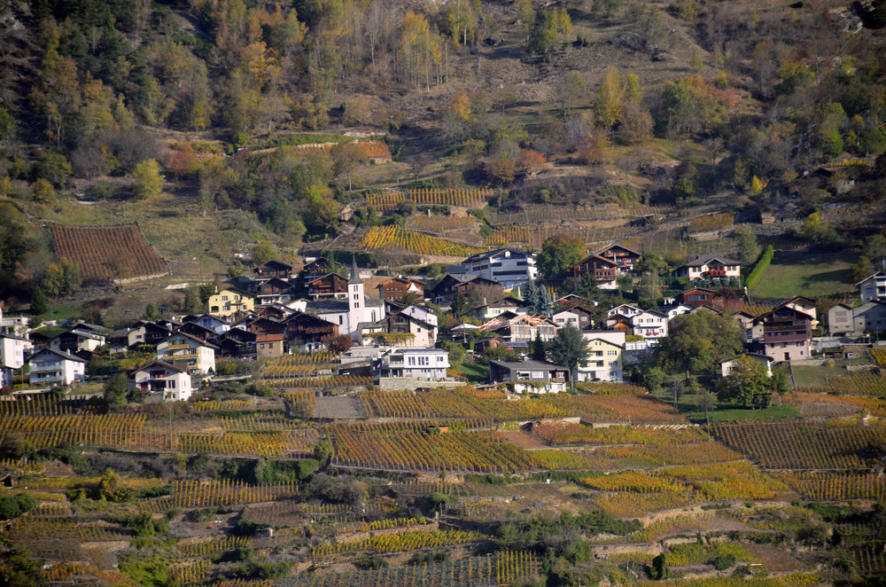 DSC_5678 — копия.JPG