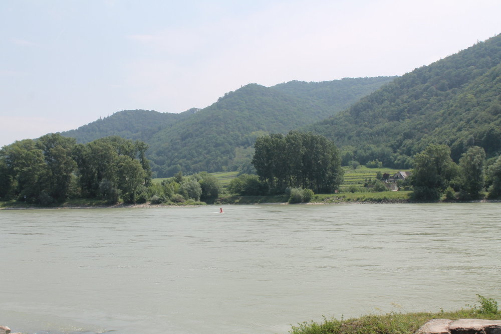 2018-06-01 13-23-10.JPG