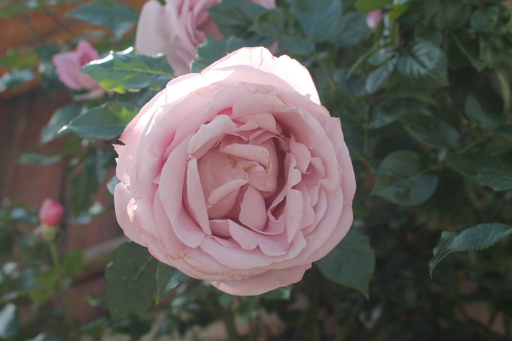 2018-06-02 15-13-58.JPG