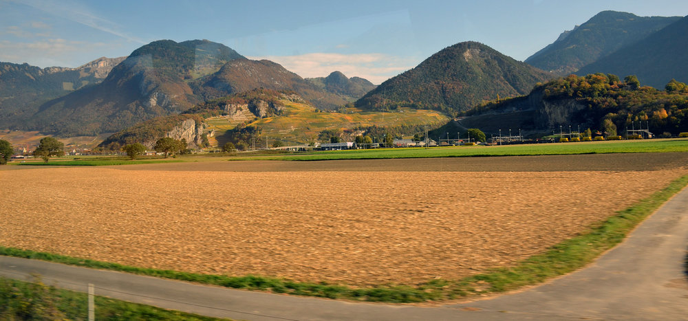 DSC_5966 — копия — копия.JPG