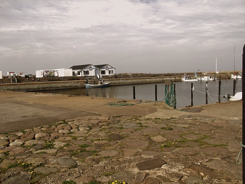 Сады и парки Скандинавии 797_Fotor.jpg