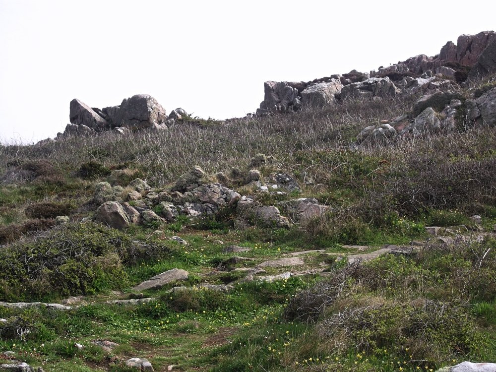 Сады и парки Скандинавии 873_Fotor.jpg