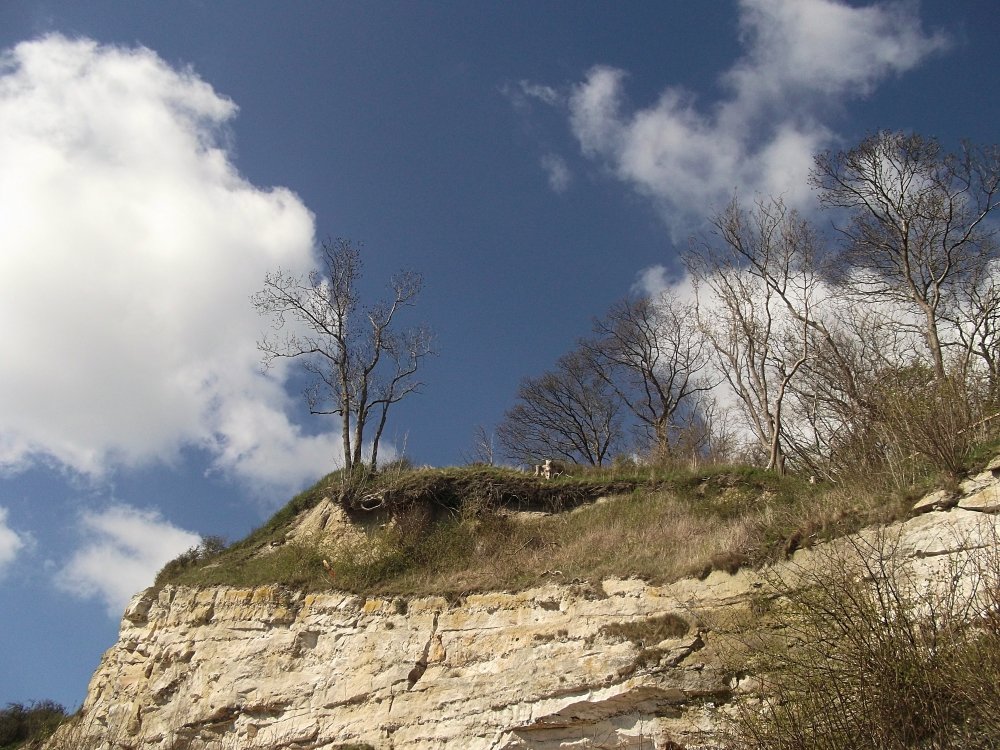 Сады и парки Скандинавии 1219_Fotor.jpg