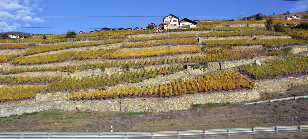 DSC_5808 — копия — копия.JPG