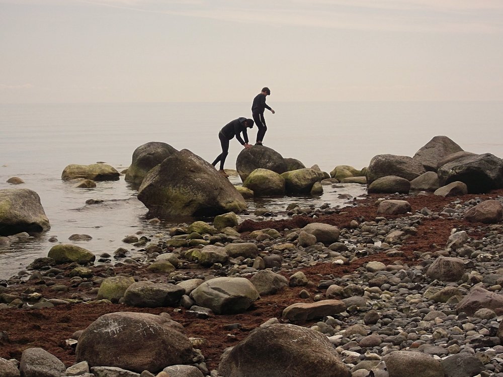 Сады и парки Скандинавии 1281_Fotor.jpg