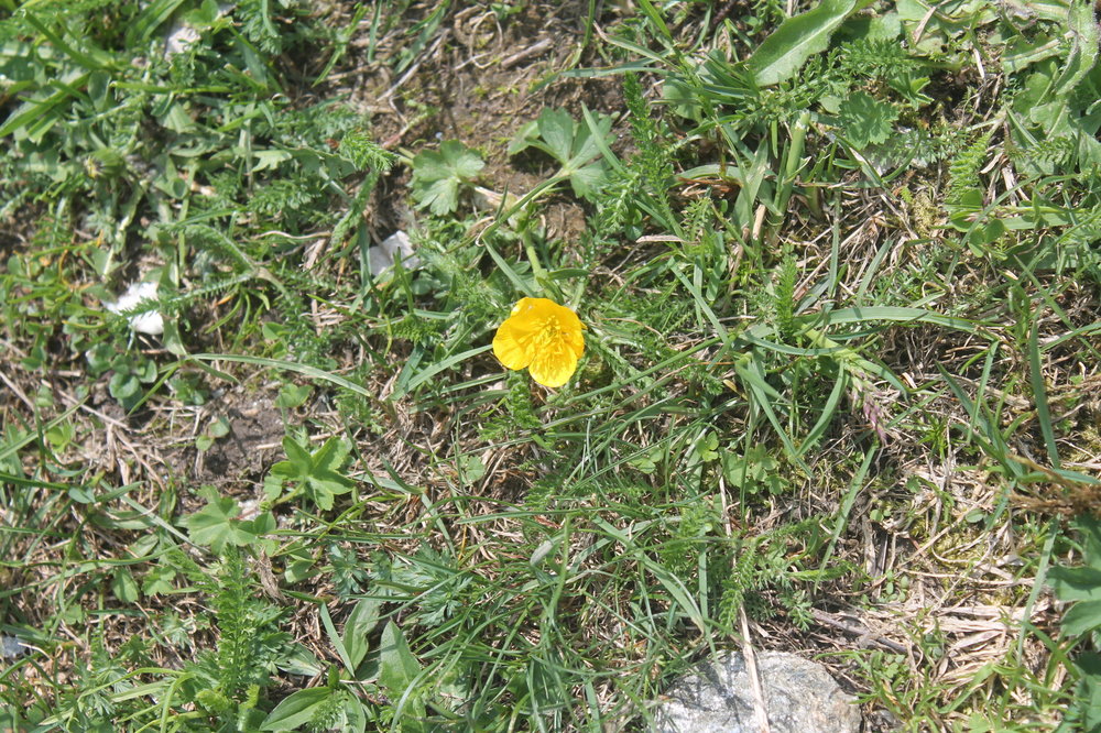 2018-06-04 16-15-48.JPG