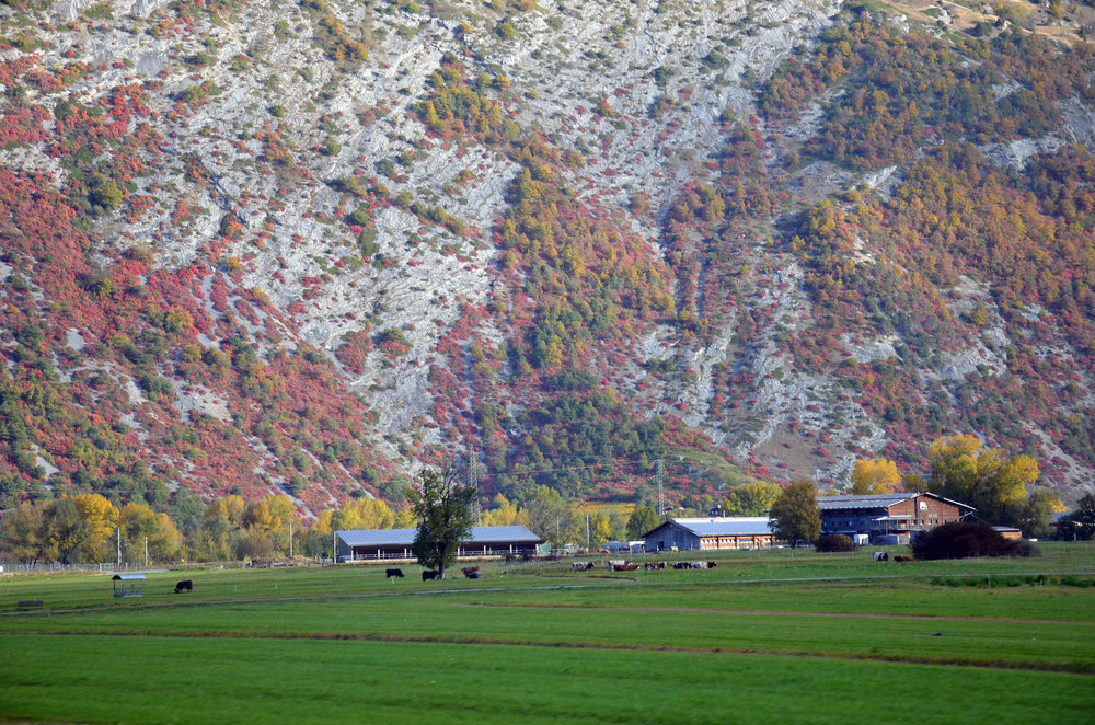 DSC_5722 — копия.JPG