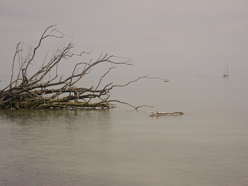 Сады и парки Скандинавии 1290_Fotor.jpg