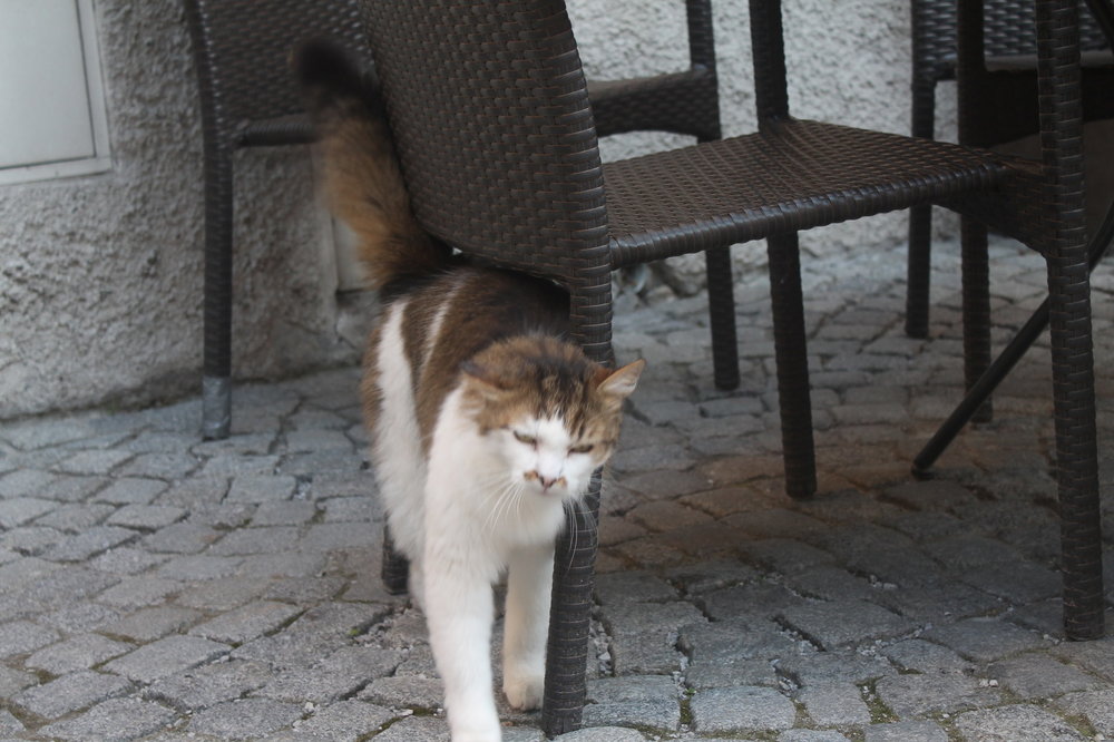 2018-06-05 09-48-00.JPG