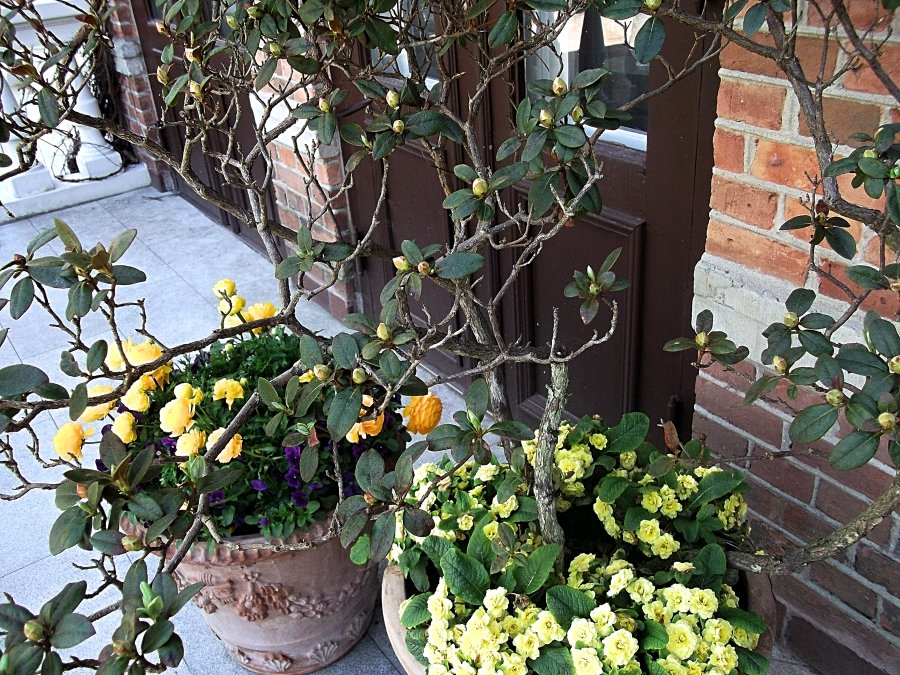 Сады и парки Скандинавии 1063_Fotor.jpg