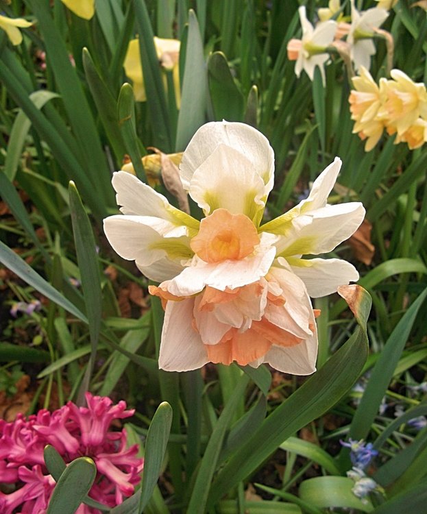 Сады и парки Скандинавии 926_Fotor.jpg