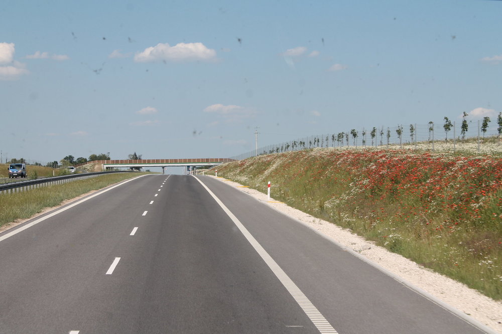 2018-06-08 15-53-32.JPG