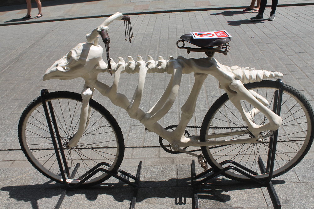 2018-06-08 13-20-50.JPG