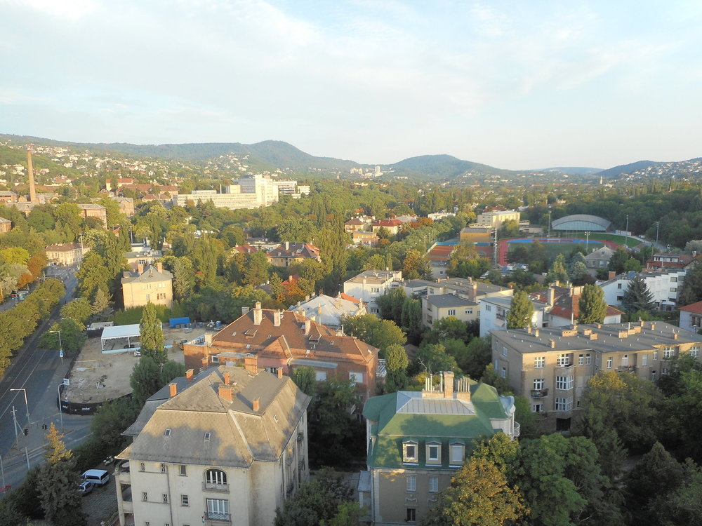 DSCN0959 - копия.JPG