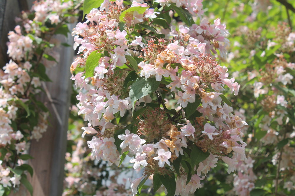 2018-06-02 14-34-44.JPG