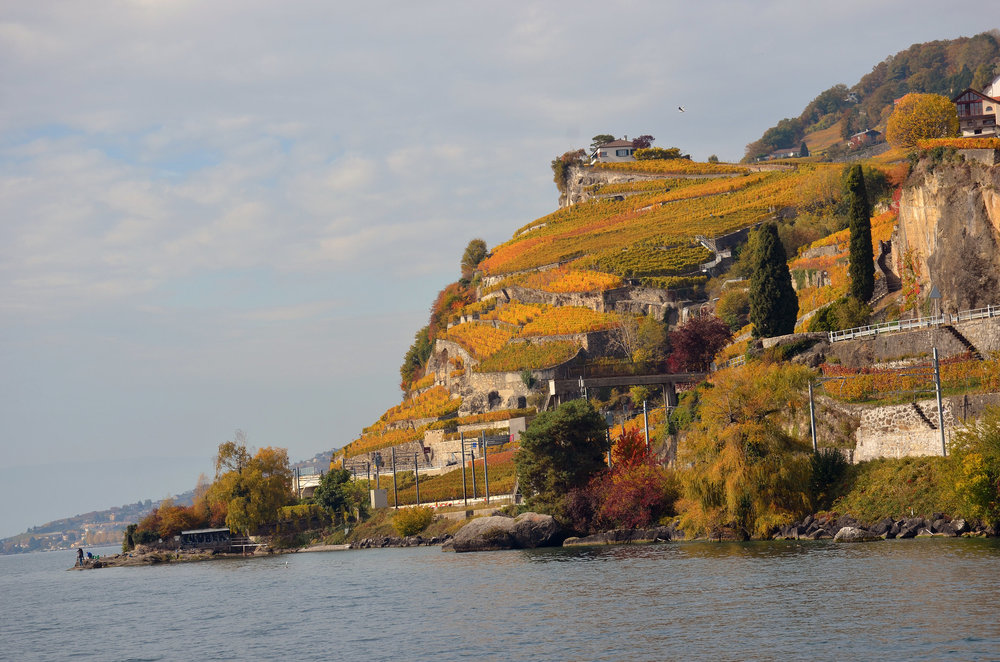 DSC_6393 — копия.JPG