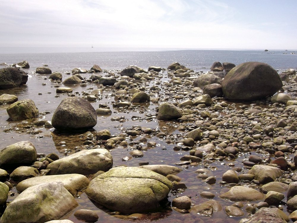 Сады и парки Скандинавии 1306_Fotor.jpg